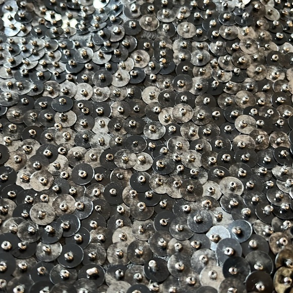 Zara Sequin Skirt - Picture 3 of 4